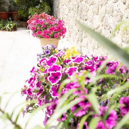 Villa La Bella - Luxury House Close To Corfu Town