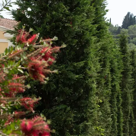 La Bella - Luxury House Close To Corfu Town Villa *